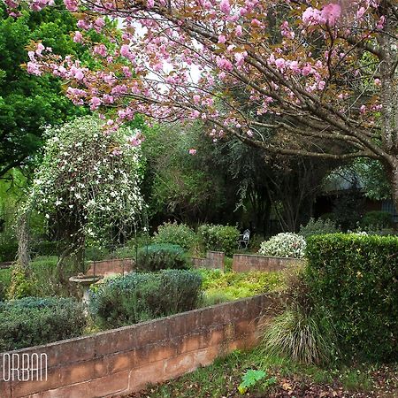Birches Cottage & The Willows Garden Room 언더버그 외부 사진