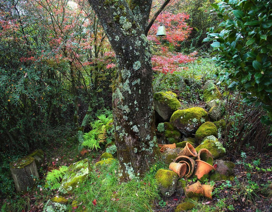 Birches Cottage & The Willows Garden Room 언더버그 외부 사진