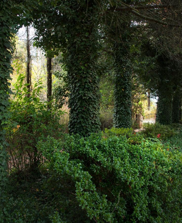 Birches Cottage & The Willows Garden Room 언더버그 외부 사진