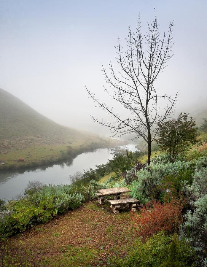 Birches Cottage & The Willows Garden Room 언더버그 외부 사진