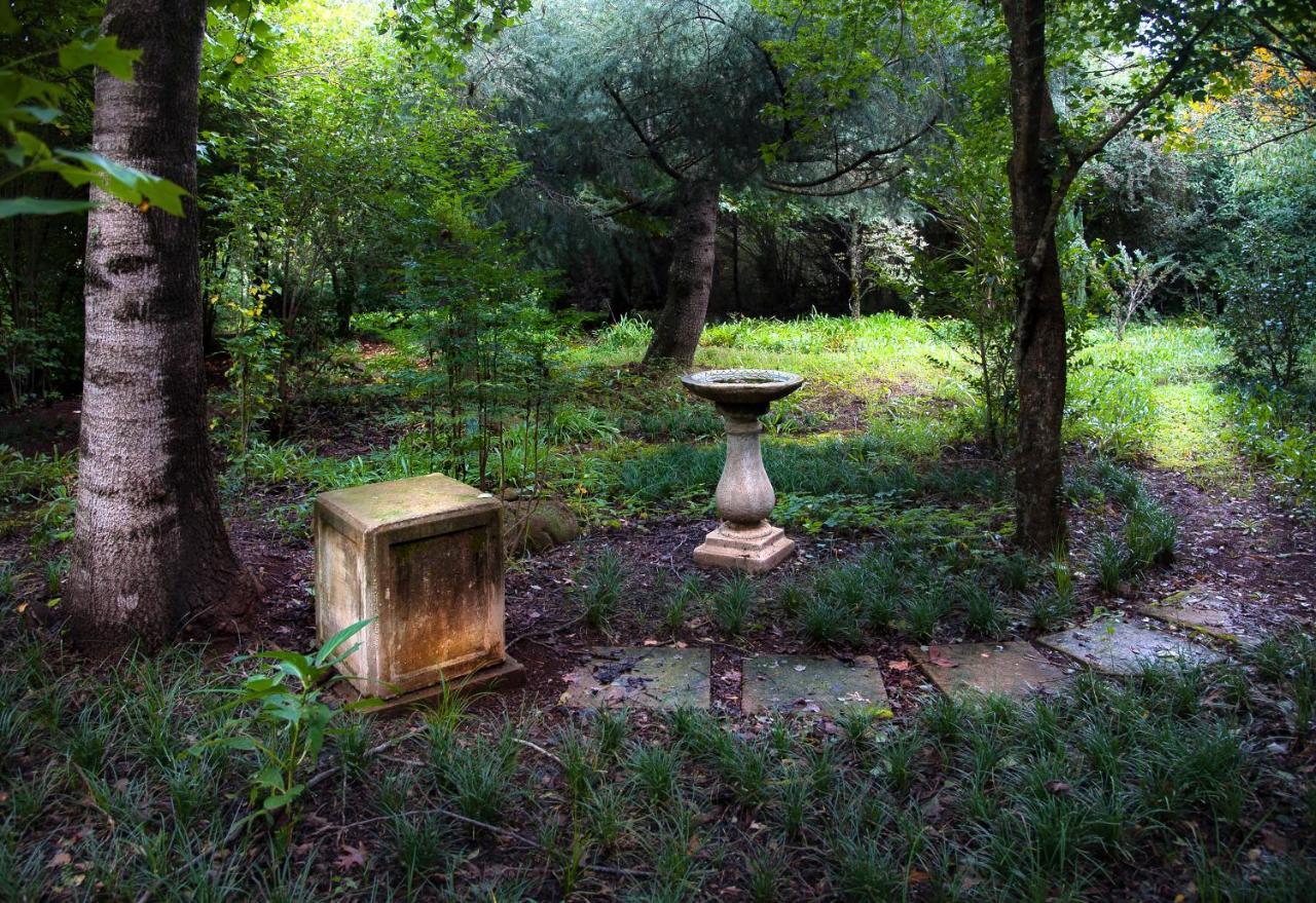 Birches Cottage & The Willows Garden Room 언더버그 외부 사진