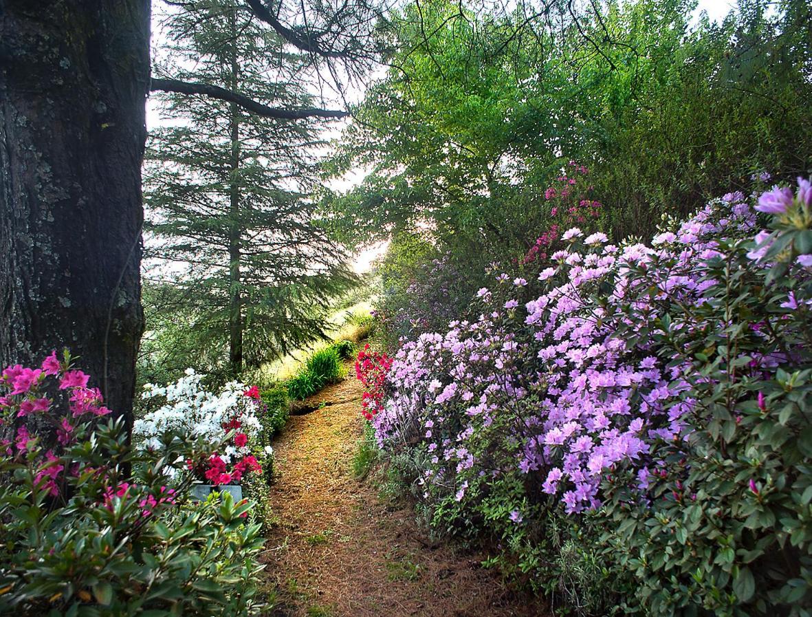 Birches Cottage & The Willows Garden Room 언더버그 외부 사진