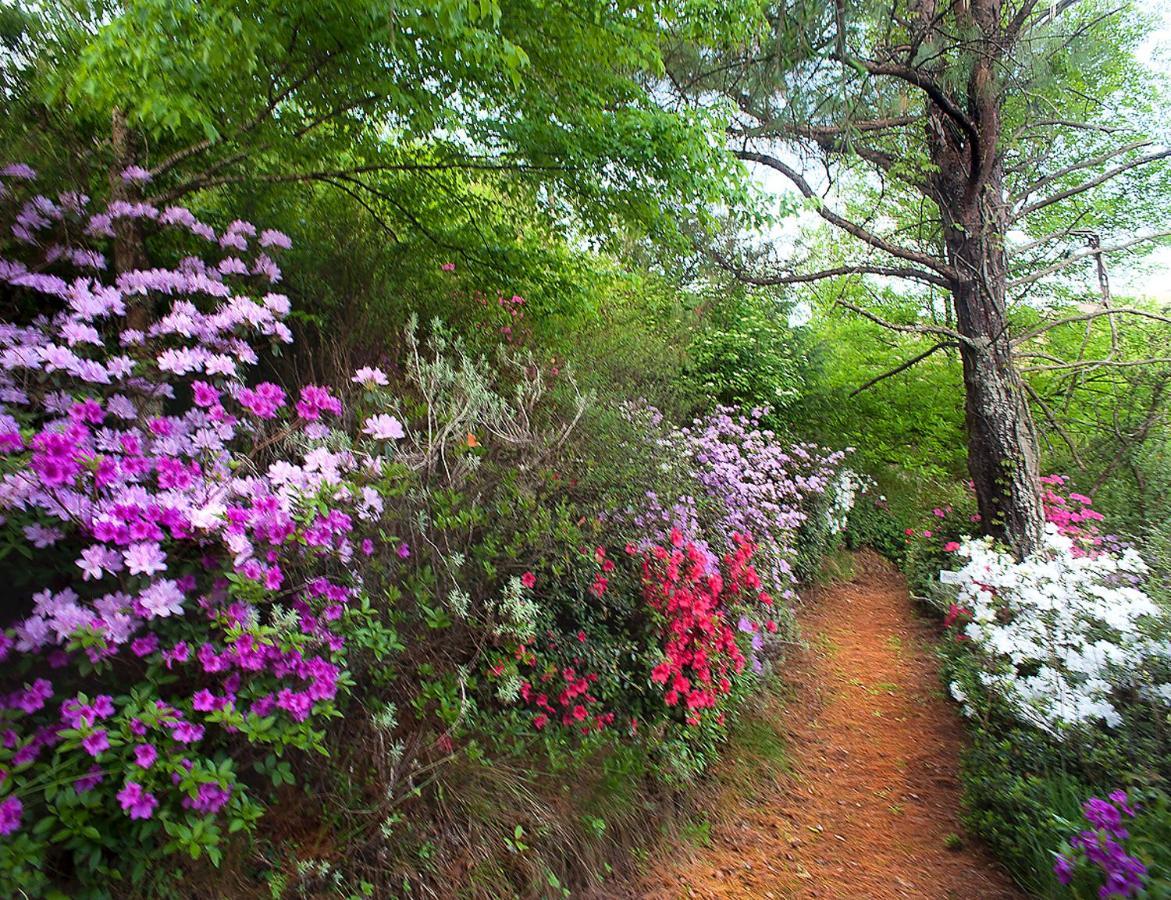 Birches Cottage & The Willows Garden Room 언더버그 외부 사진