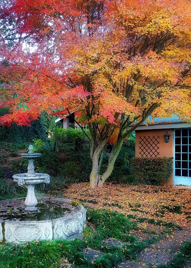 Birches Cottage & The Willows Garden Room 언더버그 외부 사진