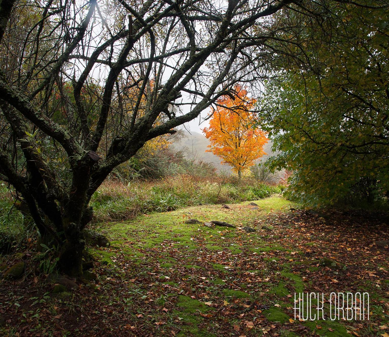 Birches Cottage & The Willows Garden Room 언더버그 외부 사진