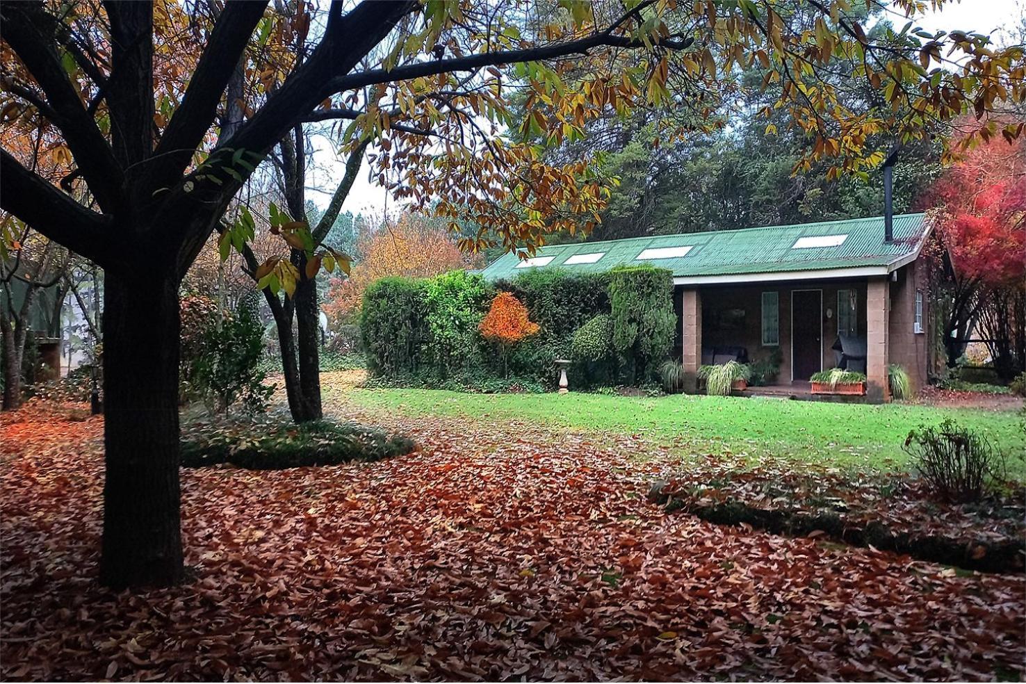 Birches Cottage & The Willows Garden Room 언더버그 외부 사진