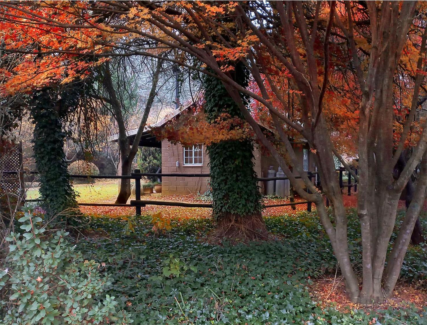 Birches Cottage & The Willows Garden Room 언더버그 외부 사진