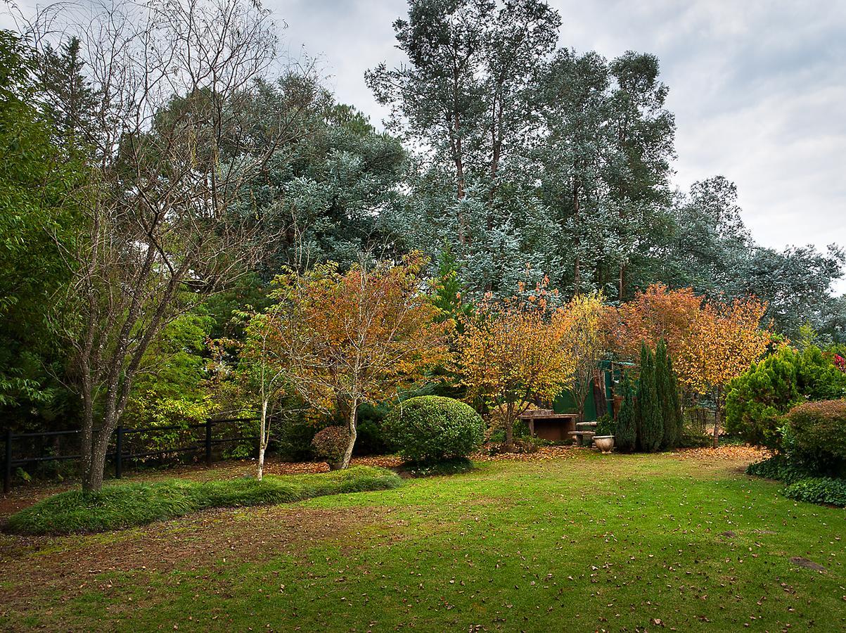 Birches Cottage & The Willows Garden Room 언더버그 외부 사진
