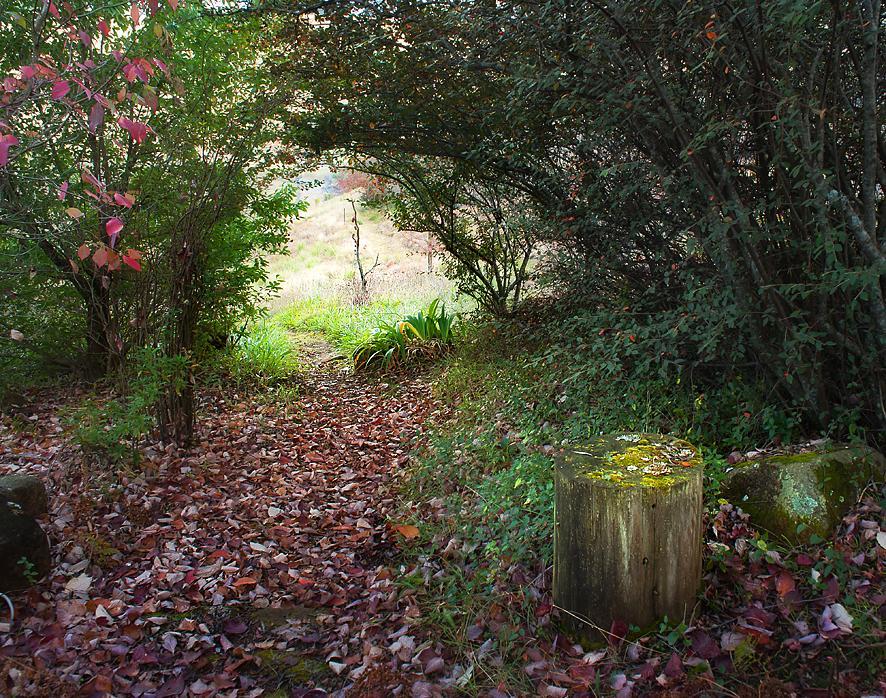 Birches Cottage & The Willows Garden Room 언더버그 외부 사진