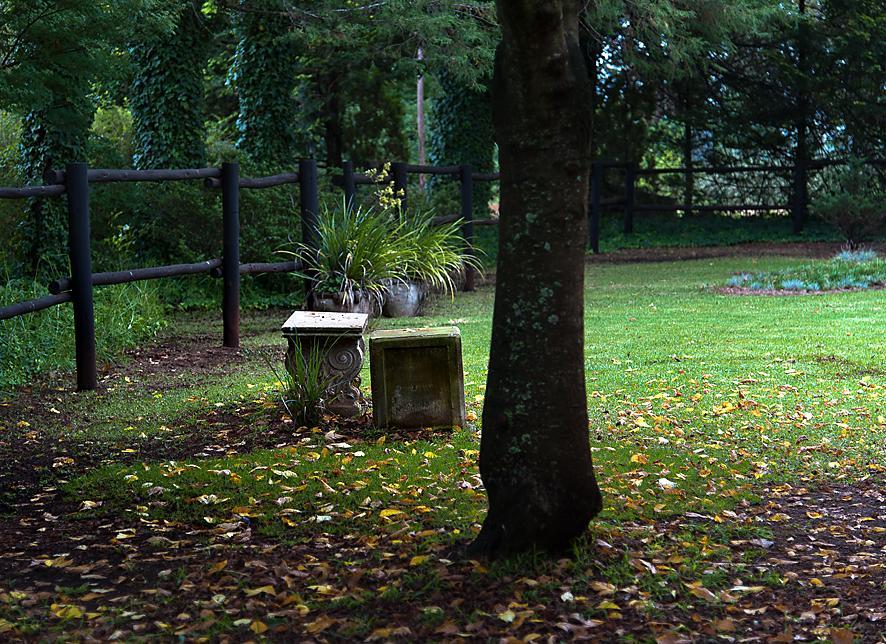 Birches Cottage & The Willows Garden Room 언더버그 외부 사진