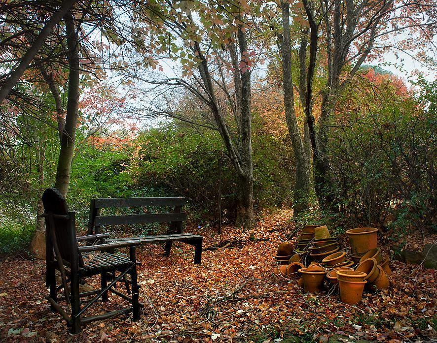 Birches Cottage & The Willows Garden Room 언더버그 외부 사진