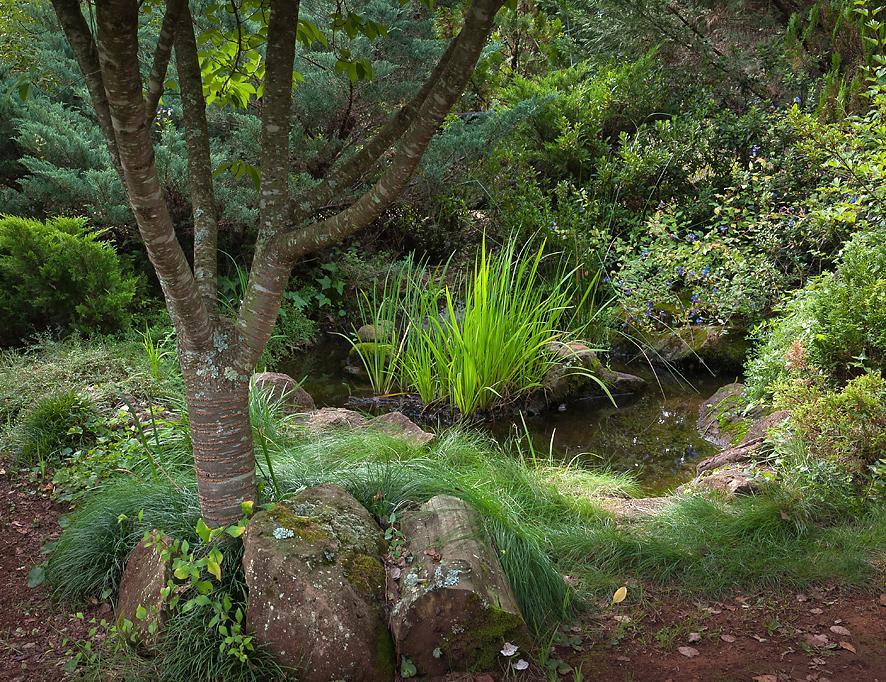 Birches Cottage & The Willows Garden Room 언더버그 외부 사진