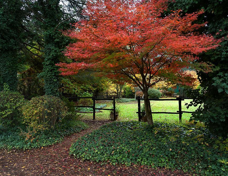 Birches Cottage & The Willows Garden Room 언더버그 외부 사진